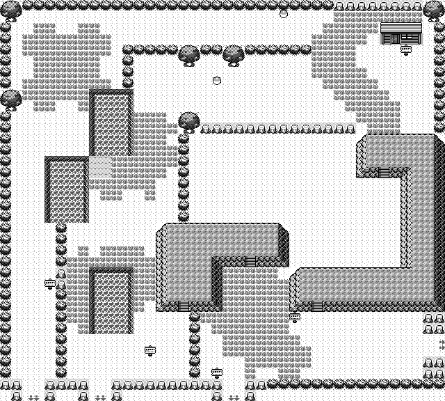 大森滋訪談:與《Pokopia Pokemon》醞釀 25 年的慢生活夢想,從 2001 年的那片草叢說起